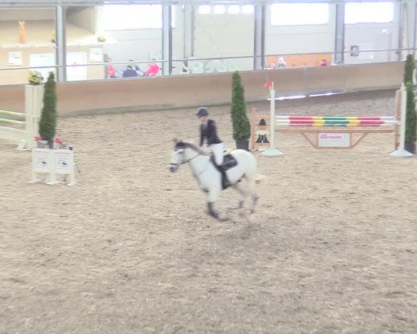 Reitturnier Waghäusel-Wiesental 2018
