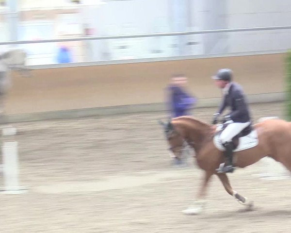 Reitturnier Waghäusel-Wiesental 2018