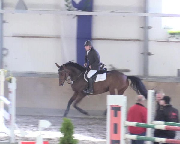 Reitturnier Waghäusel-Wiesental 2018
