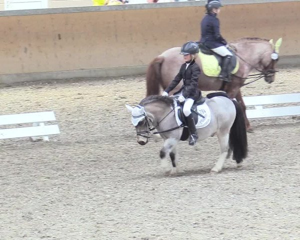 Reitturnier Waghäusel-Wiesental 2018