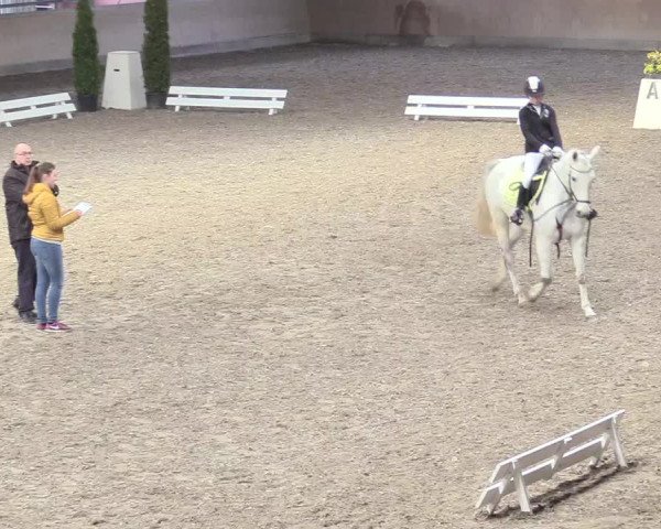 Reitturnier Waghäusel-Wiesental 2018