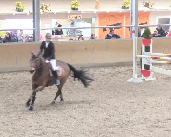 Reitturnier Waghäusel-Wiesental 2018