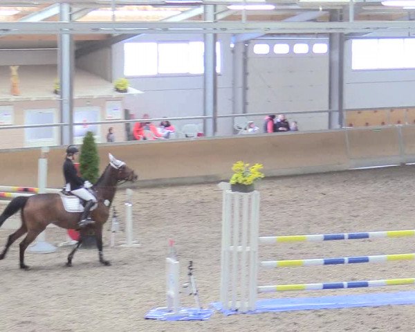 Reitturnier Waghäusel-Wiesental 2018
