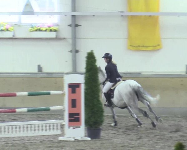 Reitturnier Waghäusel-Wiesental 2018