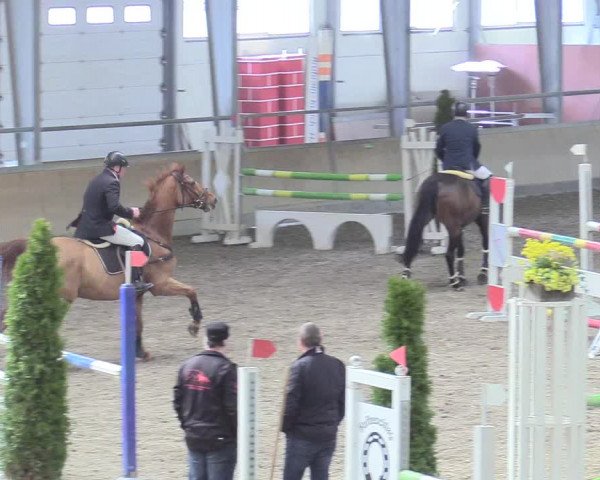 Reitturnier Waghäusel-Wiesental 2018