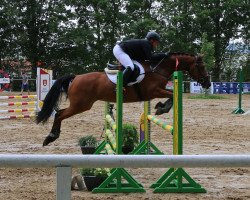 jumper Chumani 11 (Hanoverian, 2011, from Conteur)