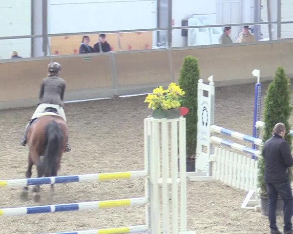 Reitturnier Waghäusel-Wiesental 2018