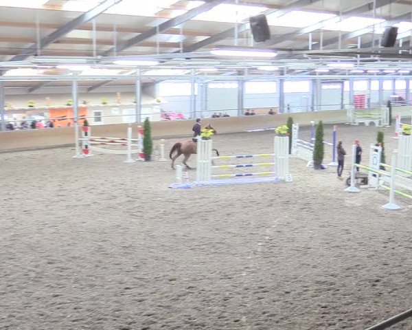 Reitturnier Waghäusel-Wiesental 2018