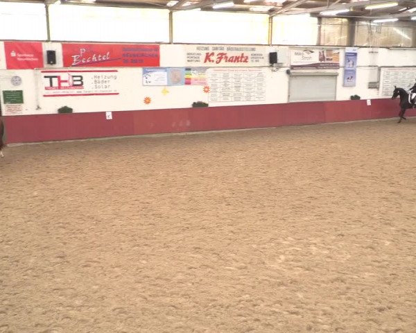 Reitturnier Neunkirchen-Furpach 2018