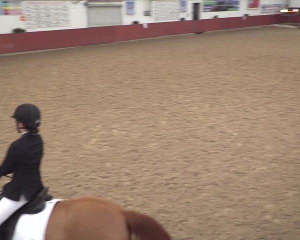 Reitturnier Neunkirchen-Furpach 2018
