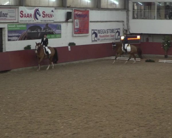 Reitturnier Neunkirchen-Furpach 2018