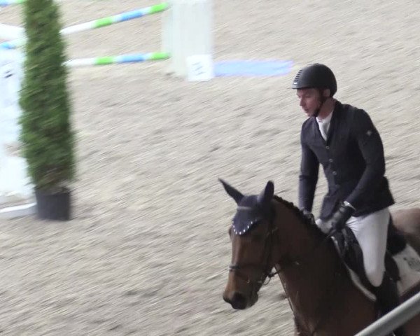 Reitturnier Waghäusel-Wiesental 2018