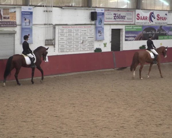 Reitturnier Neunkirchen-Furpach 2018