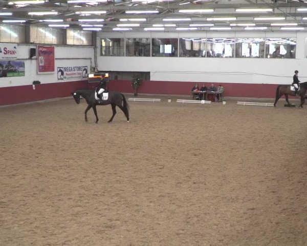 Reitturnier Neunkirchen-Furpach 2018