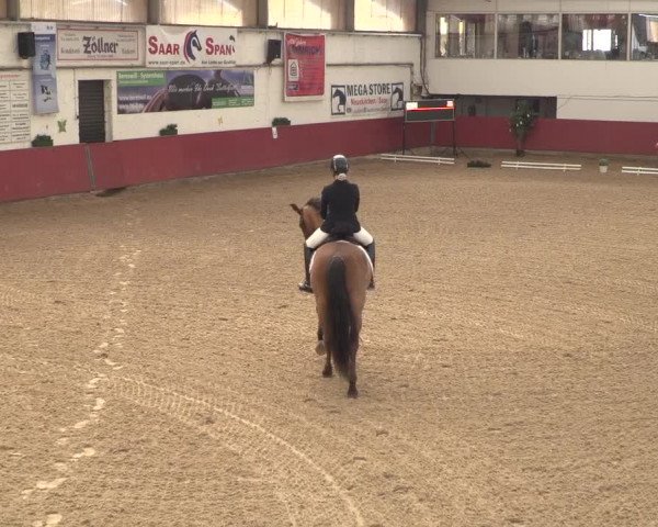 Reitturnier Neunkirchen-Furpach 2018