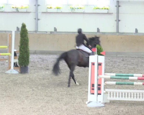Reitturnier Waghäusel-Wiesental 2018