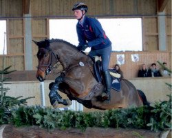 jumper Quaranta R (Württemberger, 2013, from Quinto's Chamb)