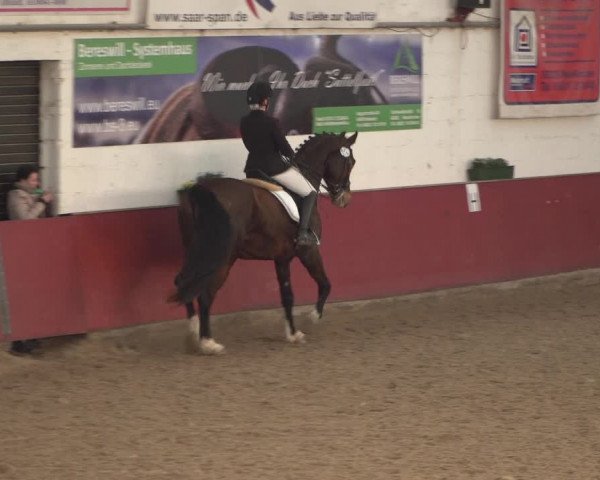 Reitturnier Neunkirchen-Furpach 2018