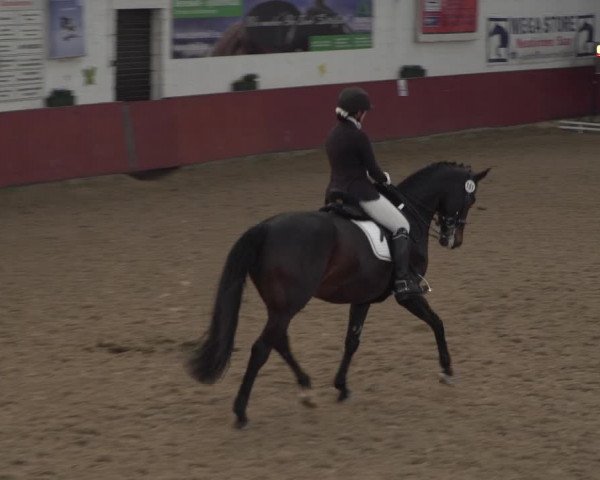 Reitturnier Neunkirchen-Furpach 2018