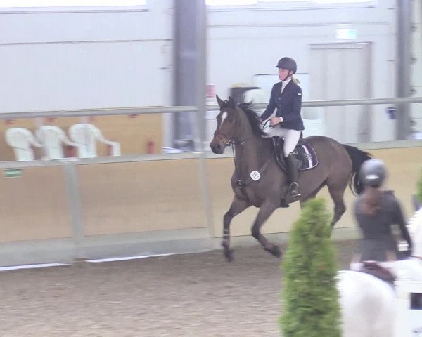 Reitturnier Waghäusel-Wiesental 2018