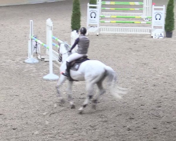 Reitturnier Waghäusel-Wiesental 2018