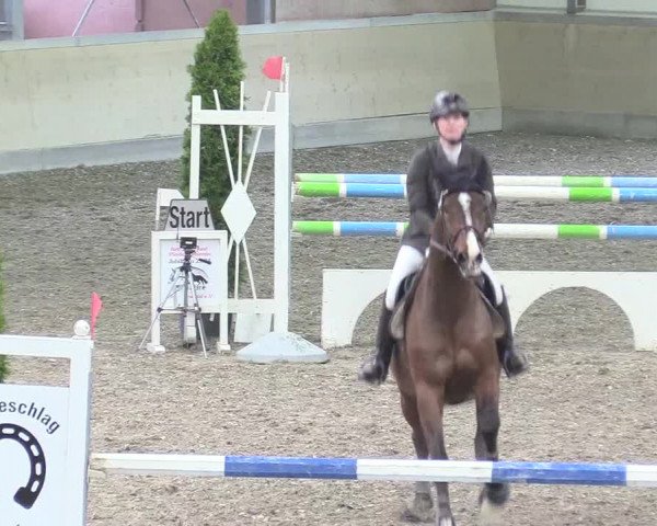 Reitturnier Waghäusel-Wiesental 2018
