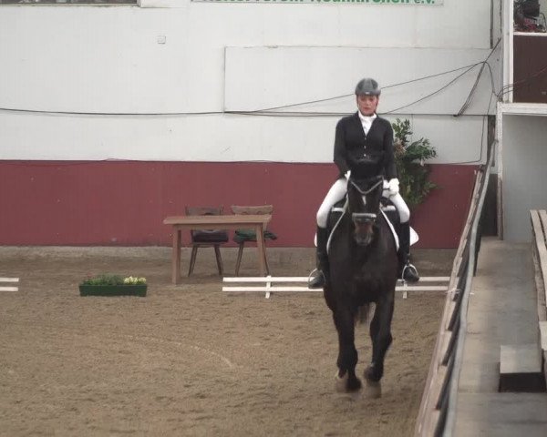 Reitturnier Neunkirchen-Furpach 2018