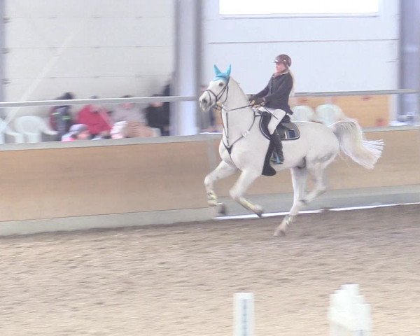 Reitturnier Waghäusel-Wiesental 2018