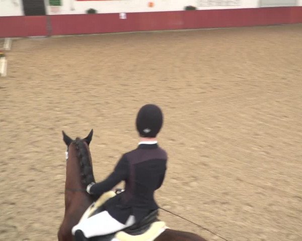 Reitturnier Neunkirchen-Furpach 2018