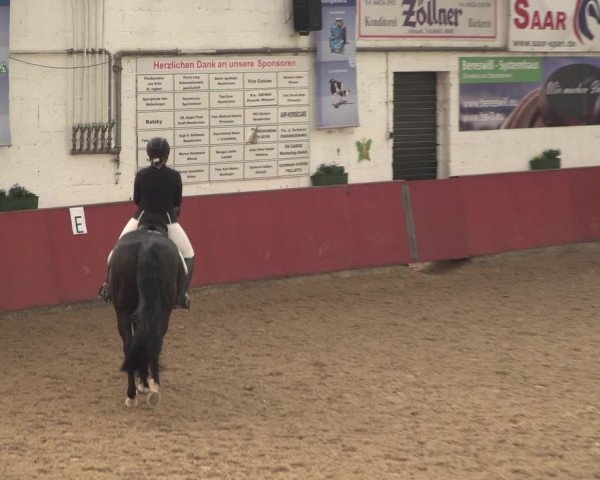 Reitturnier Neunkirchen-Furpach 2018
