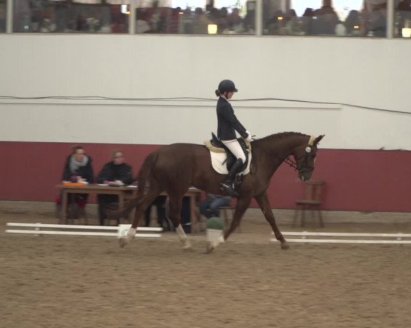 Reitturnier Neunkirchen-Furpach 2018