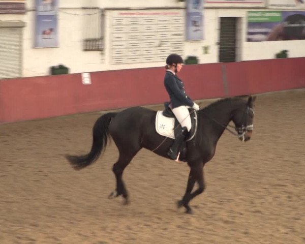 Reitturnier Neunkirchen-Furpach 2018