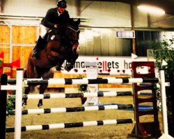 Springpferd Chaplin H (Westfale, 2007, von Christiano)