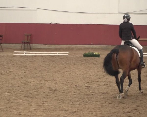 Reitturnier Neunkirchen-Furpach 2018