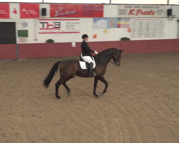 Reitturnier Neunkirchen-Furpach 2018
