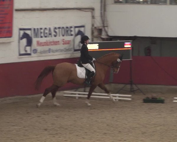 Reitturnier Neunkirchen-Furpach 2018