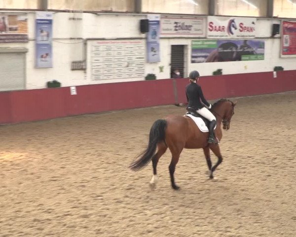 Reitturnier Neunkirchen-Furpach 2018
