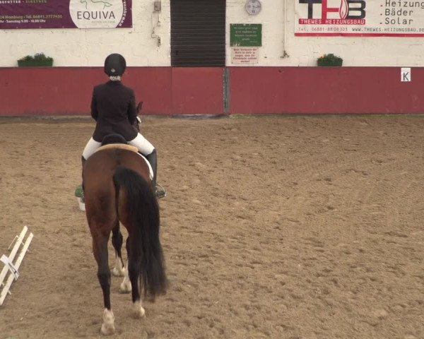 Reitturnier Neunkirchen-Furpach 2018