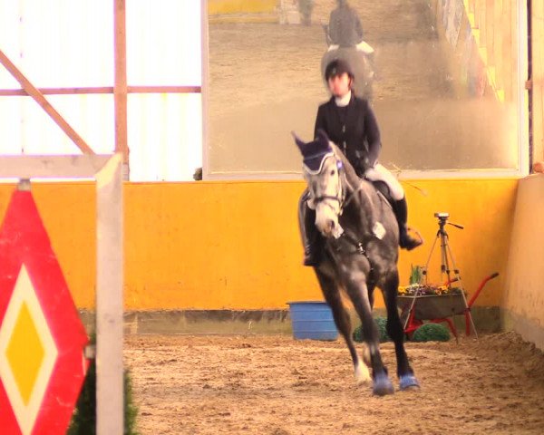 Reitturnier Pausin 2018