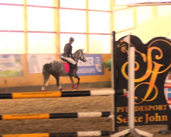 Reitturnier Pausin 2018