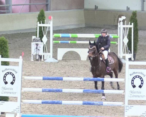 Reitturnier Waghäusel-Wiesental 2018
