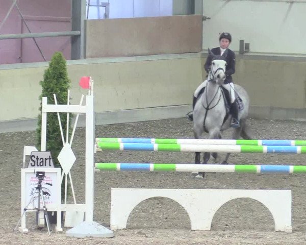 Reitturnier Waghäusel-Wiesental 2018