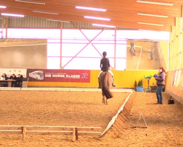 Reitturnier Pausin 2018