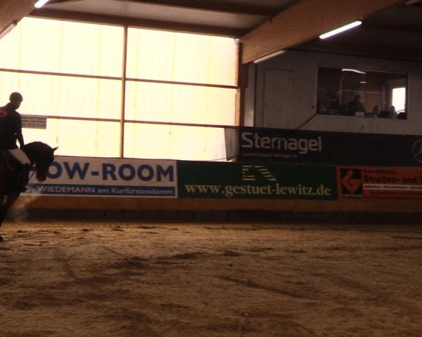 Reitturnier Pausin 2018