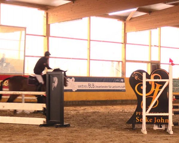 Reitturnier Pausin 2018