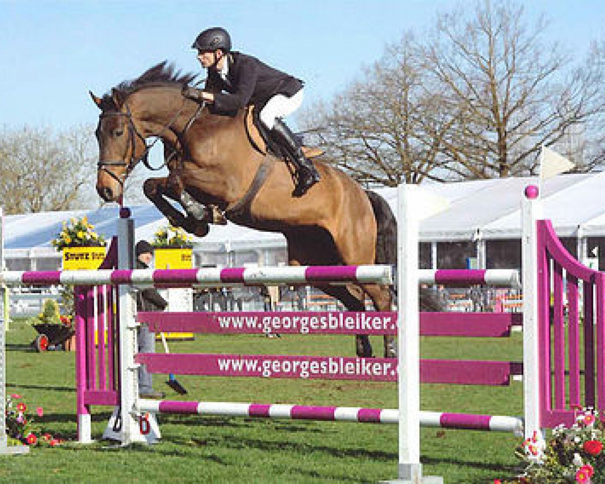 Springpferd Carlo (Holsteiner, 2008, von Cassini II)
