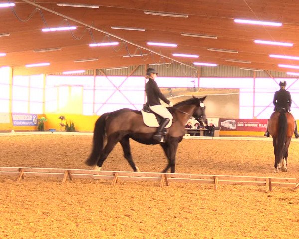 Reitturnier Pausin 2018