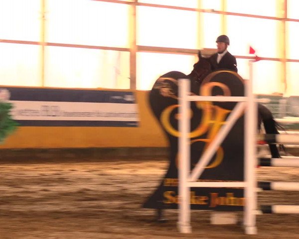 Reitturnier Pausin 2018