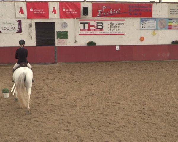 Reitturnier Neunkirchen-Furpach 2018