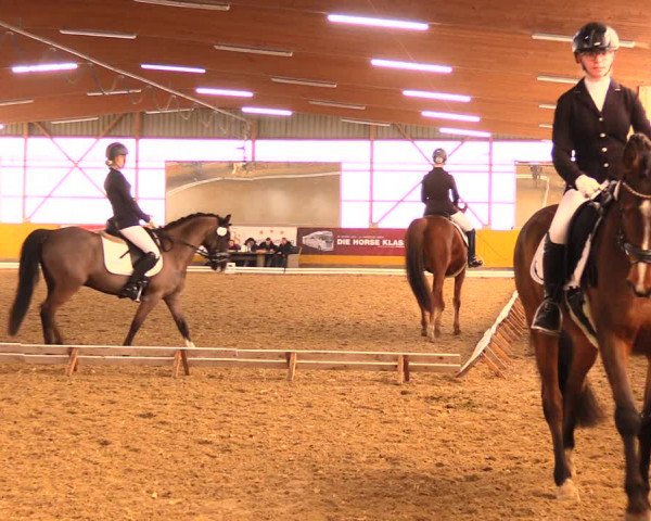 Reitturnier Pausin 2018
